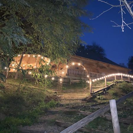 Casuta Bunicilor Villa Viseu de Jos Dış mekan fotoğraf