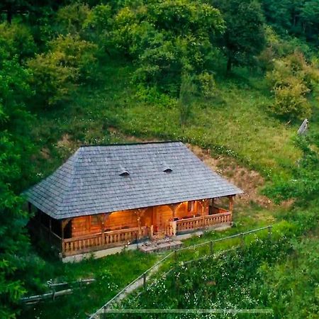 Casuta Bunicilor Villa Viseu de Jos Dış mekan fotoğraf
