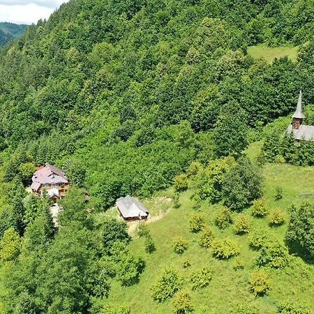 Casuta Bunicilor Villa Viseu de Jos Dış mekan fotoğraf