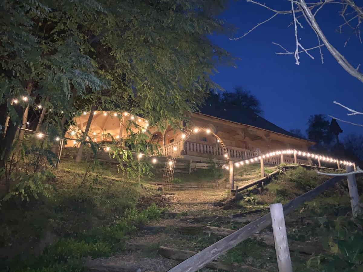 Casuta Bunicilor Villa Viseu de Jos Dış mekan fotoğraf