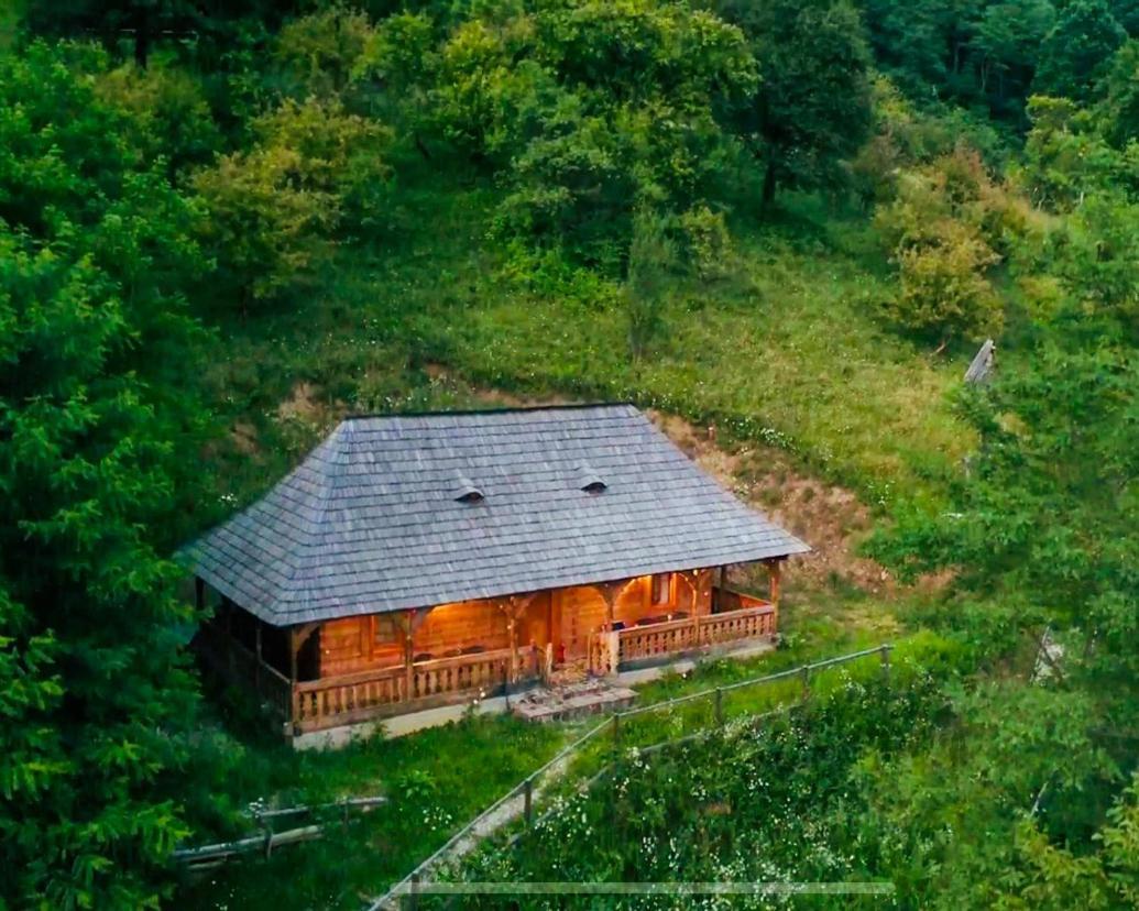 Casuta Bunicilor Villa Viseu de Jos Dış mekan fotoğraf